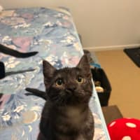 Photo of Velma