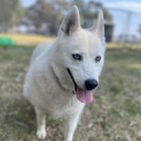 Photo of 🌻 Maya 5035 🌻