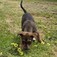 Photo of Princess Bubblegum