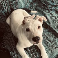 Photo of Molly