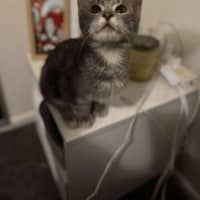 Photo of Max