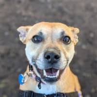 Photo of Polly