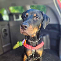 Photo of Murphy