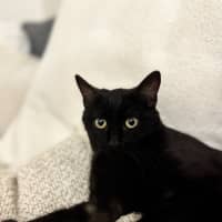 Photo of Marmite (Salem)