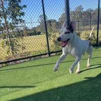 Photo of Twix Imp 1336