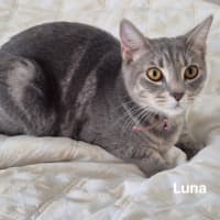 Photo of Luna
