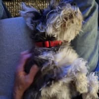 Photo of Cali And Theo