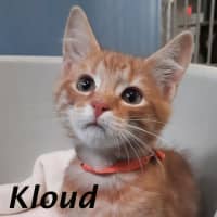 Photo of Kloud