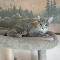 Photo of Blair 