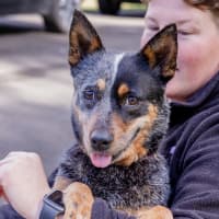 Photo of Kira