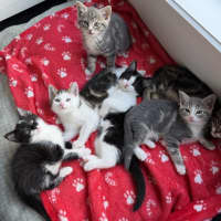 Photo of Milford 💙