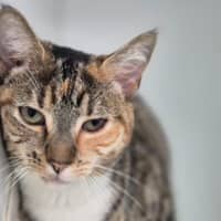 Photo of Matilda