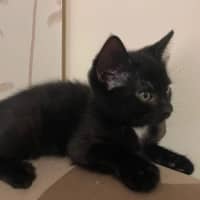 Photo of Johnny Walker