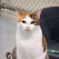 Photo of Hazel Moriarty