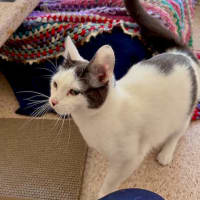 Photo of Jules
