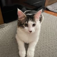 Photo of Hallie