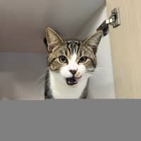 Photo of Jacko