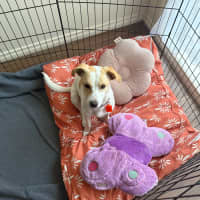 Photo of Bonnie Jrt