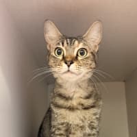 Photo of Alice
