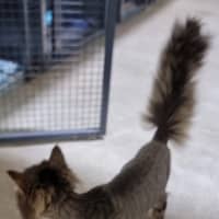 Photo of Kit