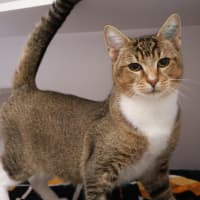 Photo of Floyd