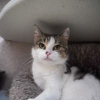 Photo of Cherri