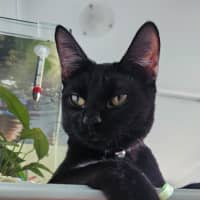 Photo of Molly