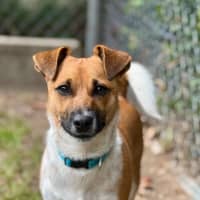 Photo of Buddy 