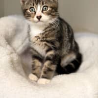 Photo of Jovi