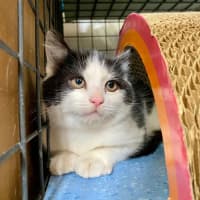 Photo of Sprout
