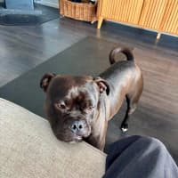Photo of Rukkus