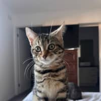 Photo of Delilah
