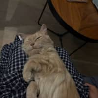 Photo of Leila