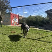 Photo of Tank
