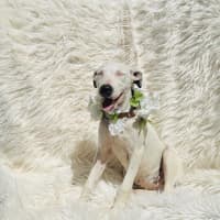 Photo of Lumi