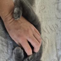 Photo of Pocket