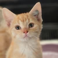Photo of Esmerelda