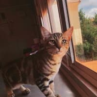 Photo of Timmie