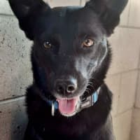 Photo of Betty