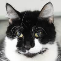 Photo of Dora