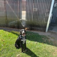 Photo of Betty