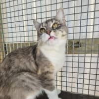 Photo of Spring! 🌷