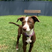 Photo of Marnie