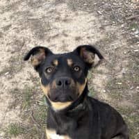 Photo of Missy