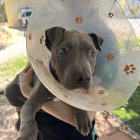 Photo of Zeus