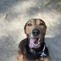 Photo of Ruby