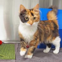 Photo of Belle