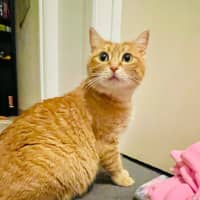 Photo of Bertha