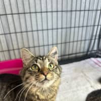 Photo of Salami & Pepperoni 