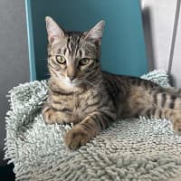 Photo of Sid